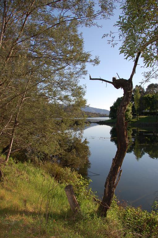 Eildon Pondage Holiday Park ภายนอก รูปภาพ